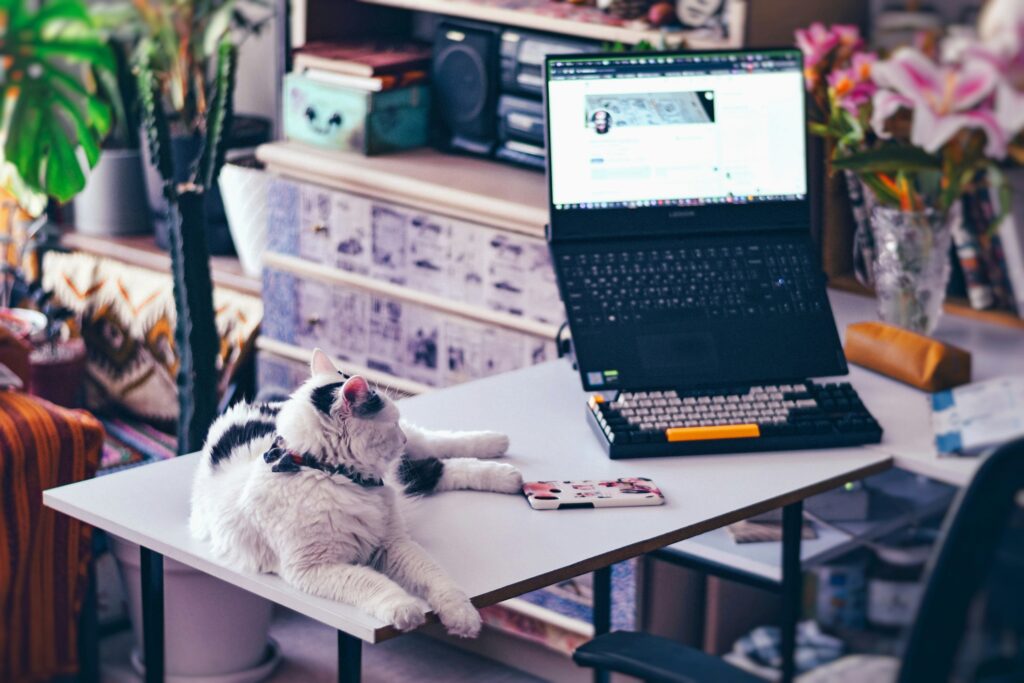 Best Freelance Jobs in 2025/ Flexible Work Culture: A New Standard